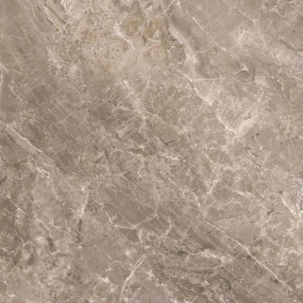 Marble Grigio de Versace Ceramics