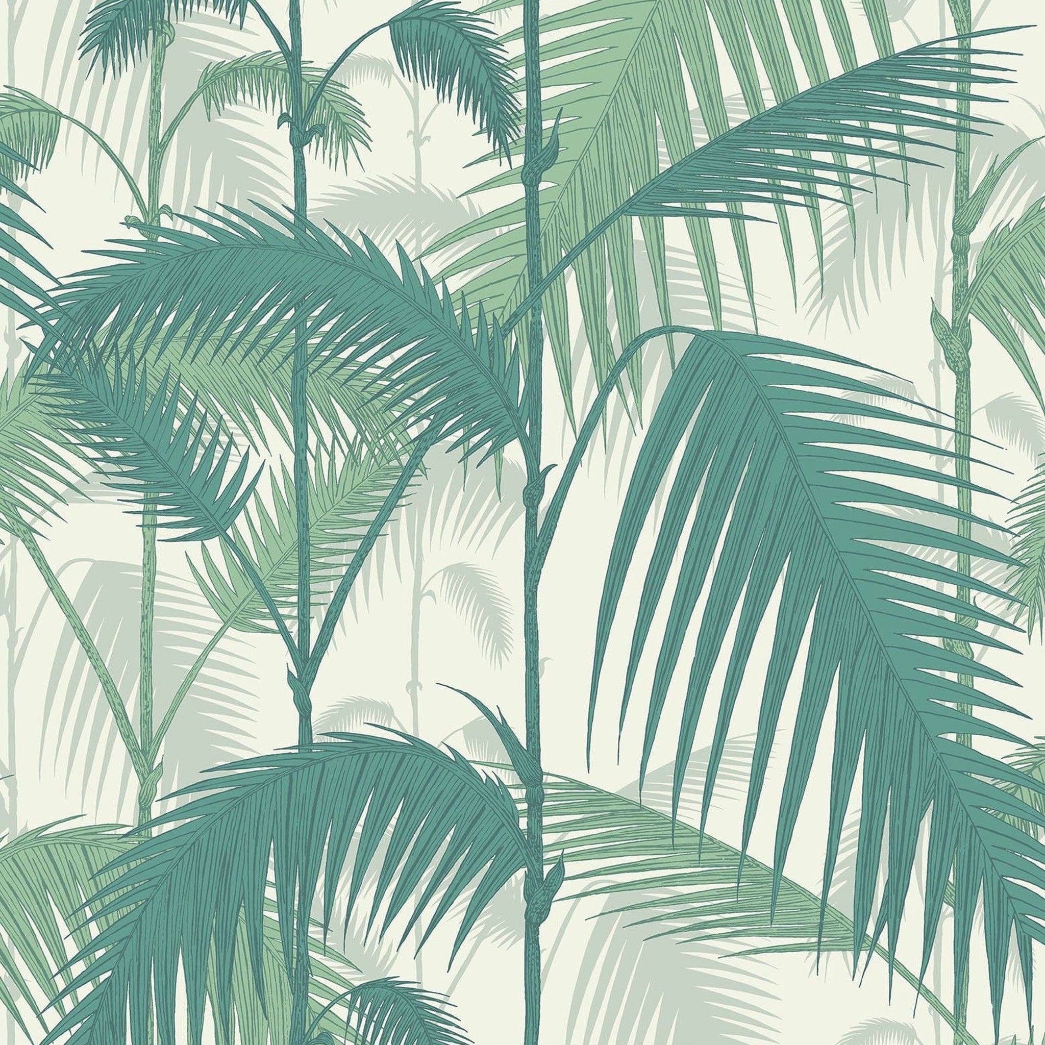Palm Jungle Wallpaper
