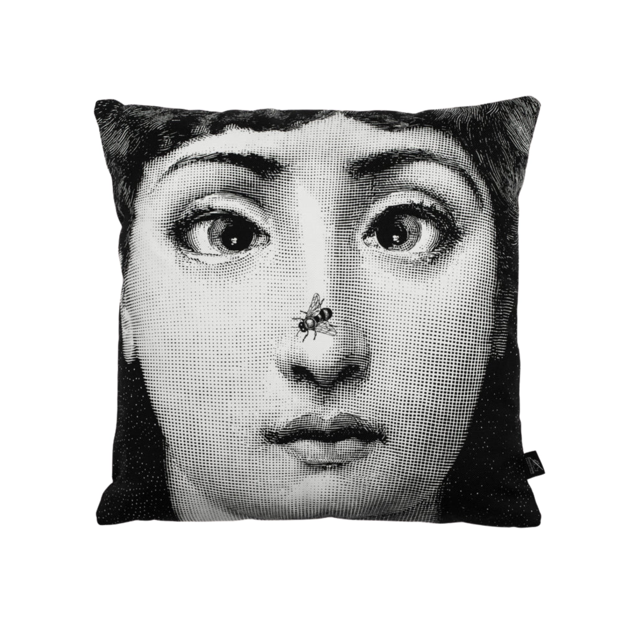 Coussin Fornasetti Ape – Tema e Variazioni de Fornasetti | Maison Territo