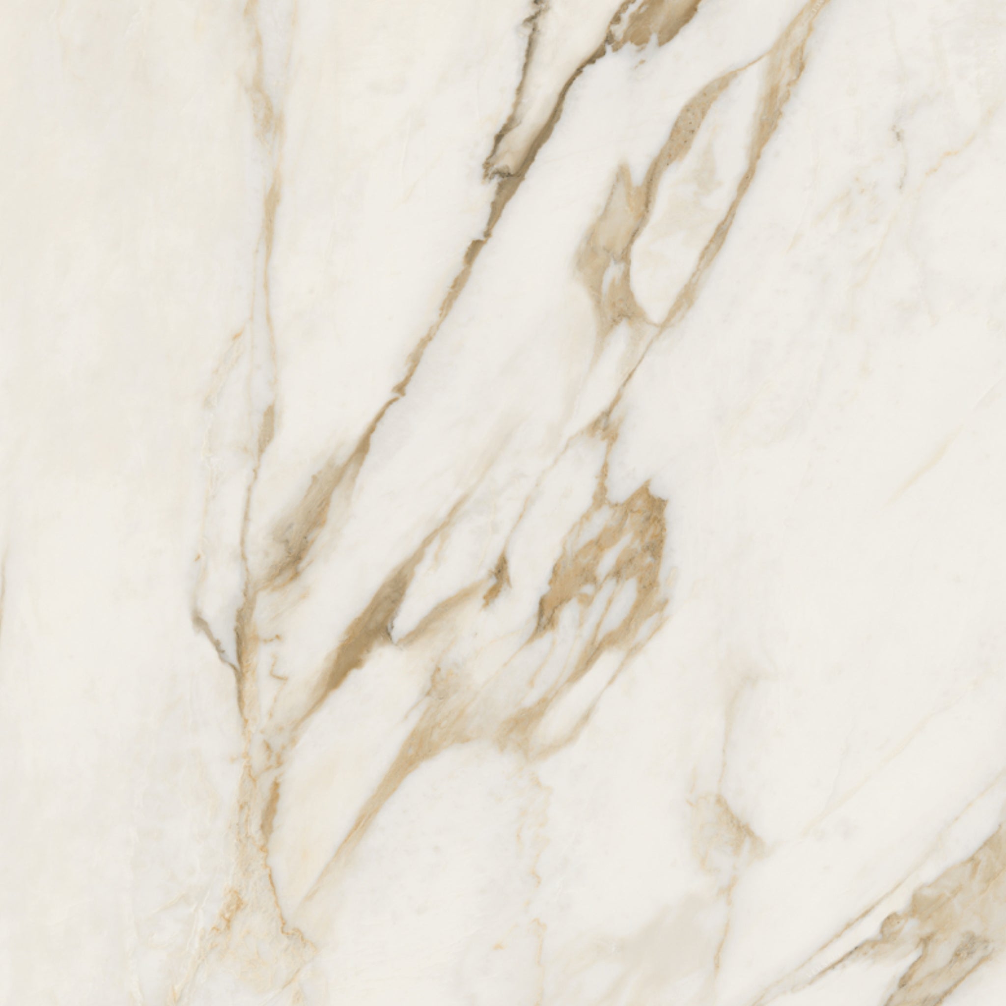 Céramique Calacatta Bright Effet marbre de Versace Ceramics