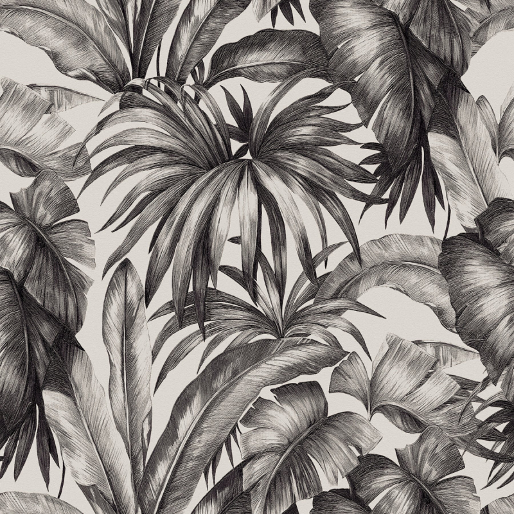 Céramique Palm Black & White de Versace Ceramics