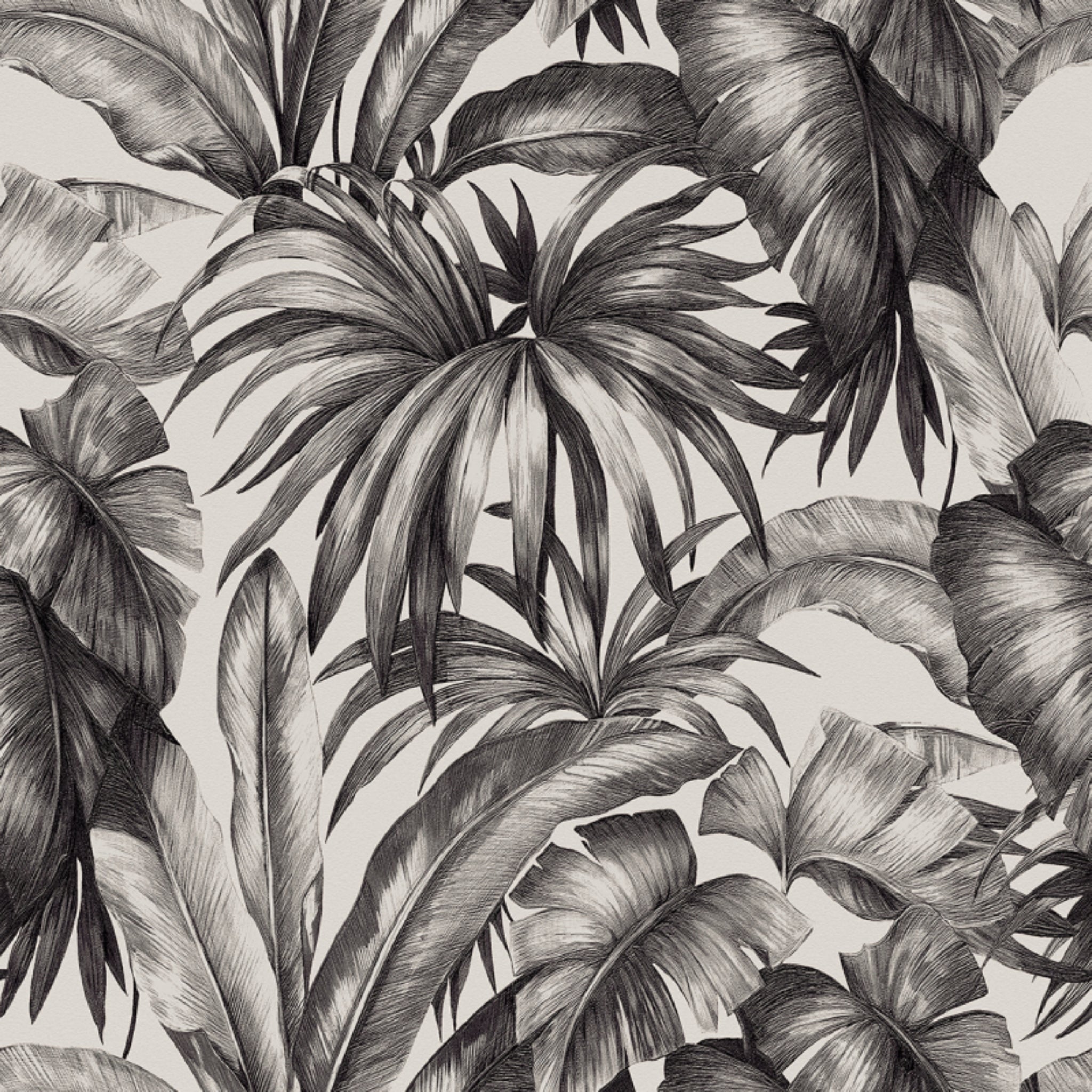 Céramique Palm Black & White de Versace Ceramics
