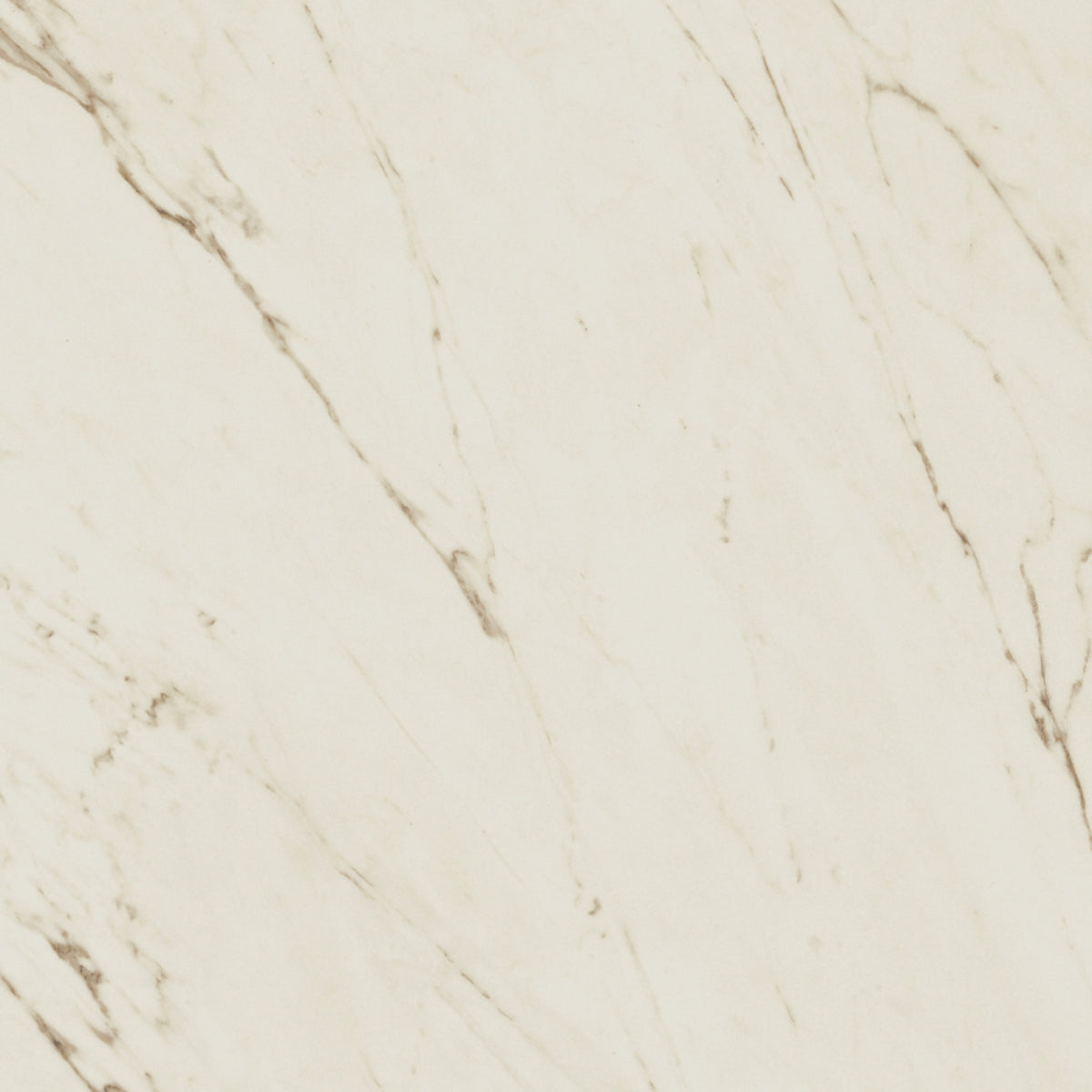 Marble Bianco de Versace Ceramics