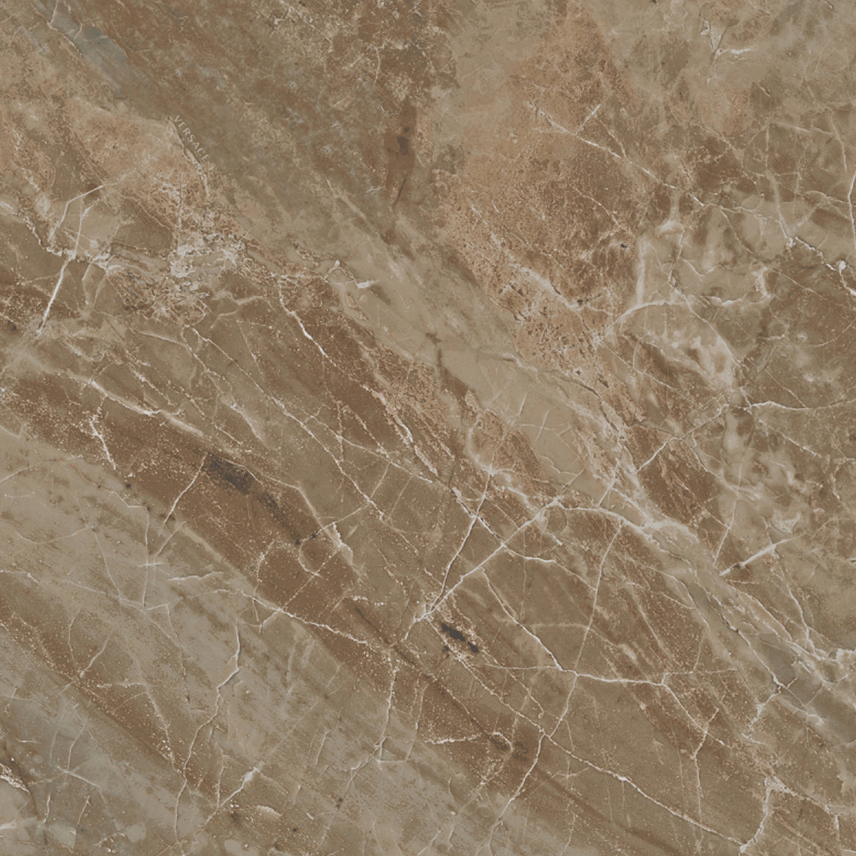 Marble Marrone de Versace Ceramics