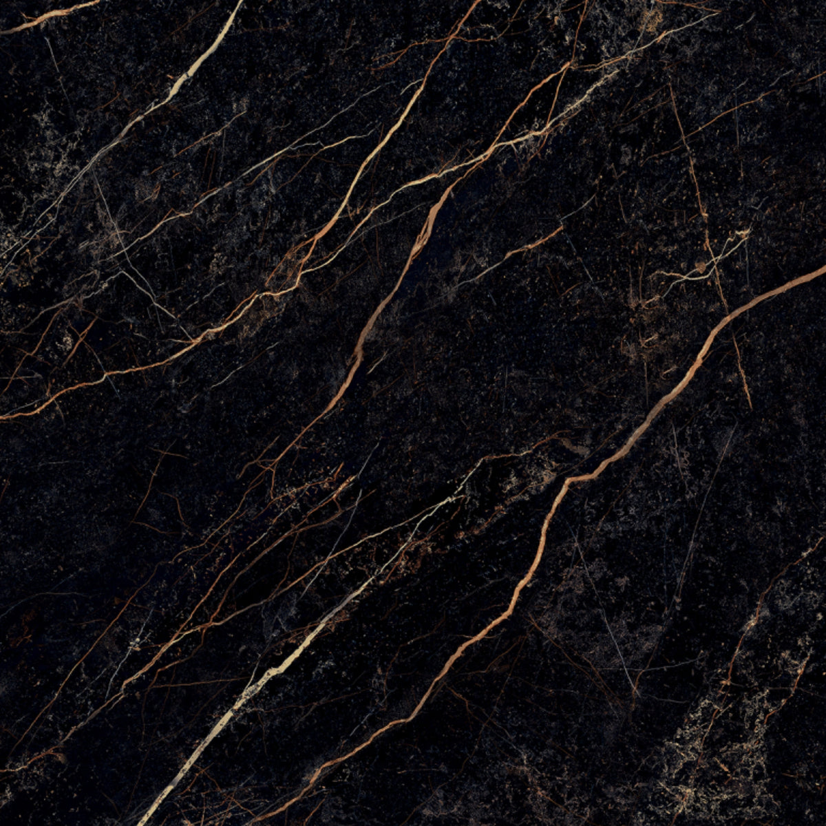 Marble Nero de Versace Ceramic