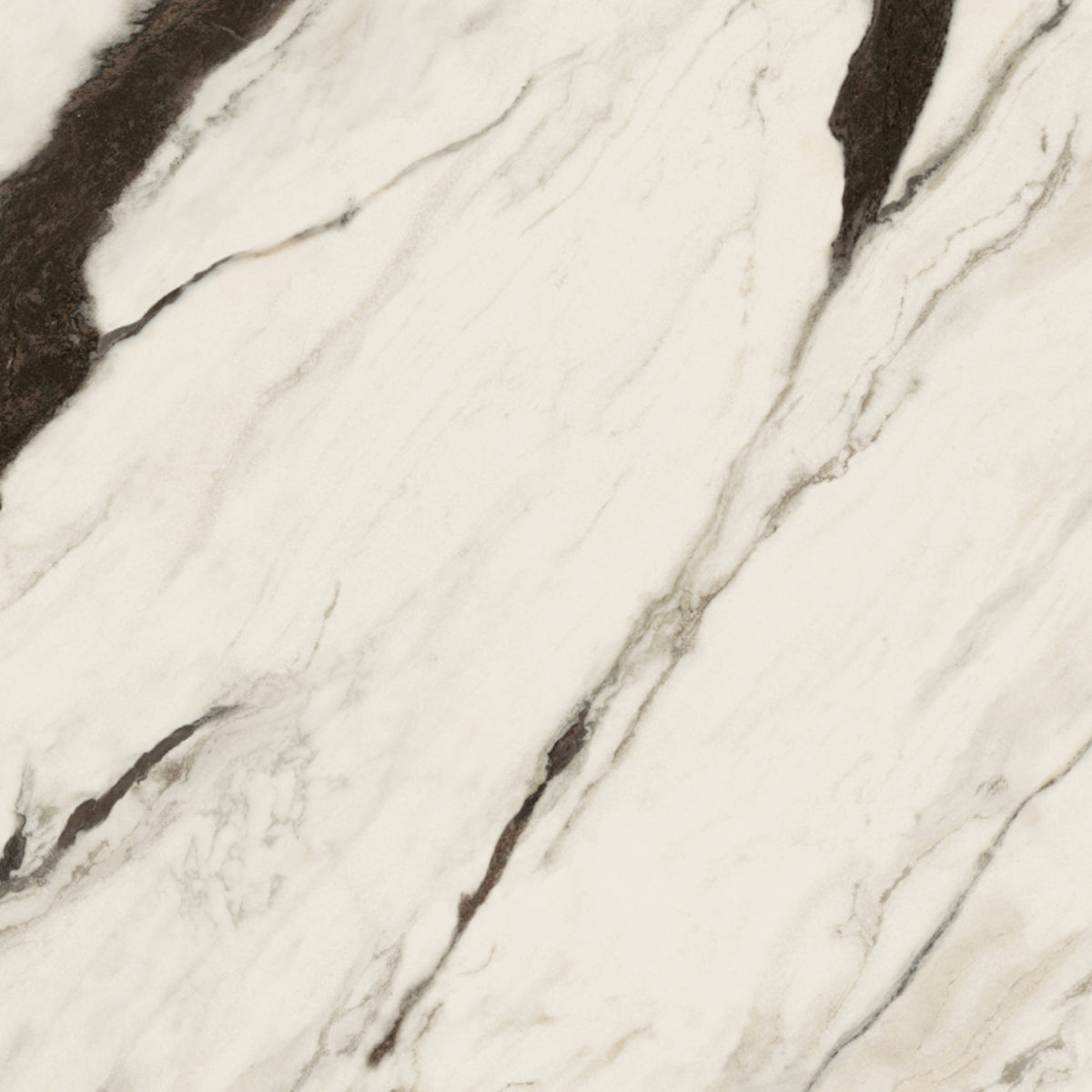 Céramique Panda White Effet marbre de Versace ceramics