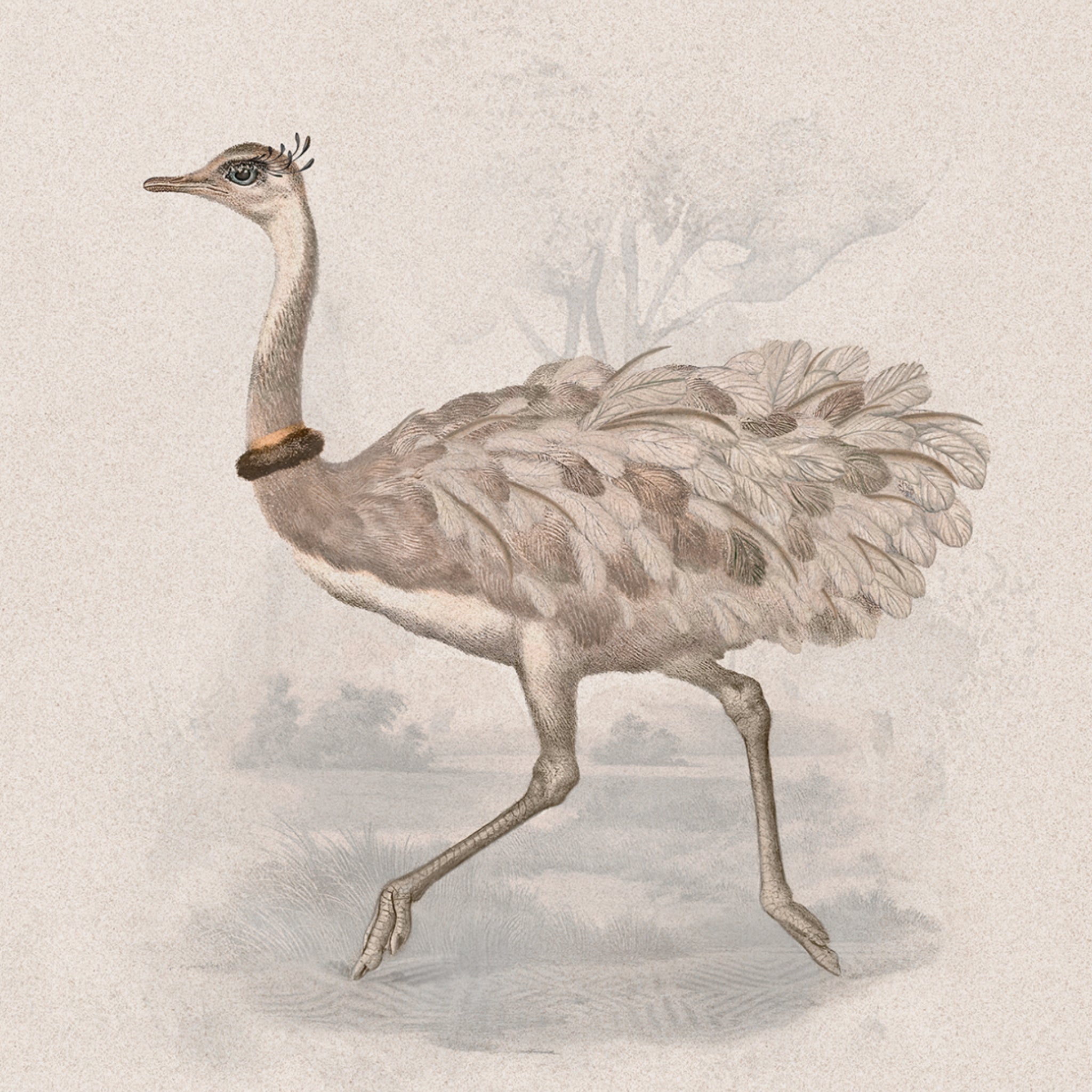 Céramique Special Edition Reiki Rhea de Moooi