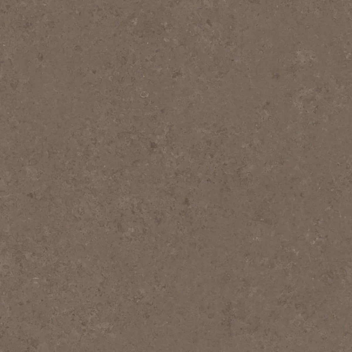Céramique V Stone Brown de Versace Ceramics