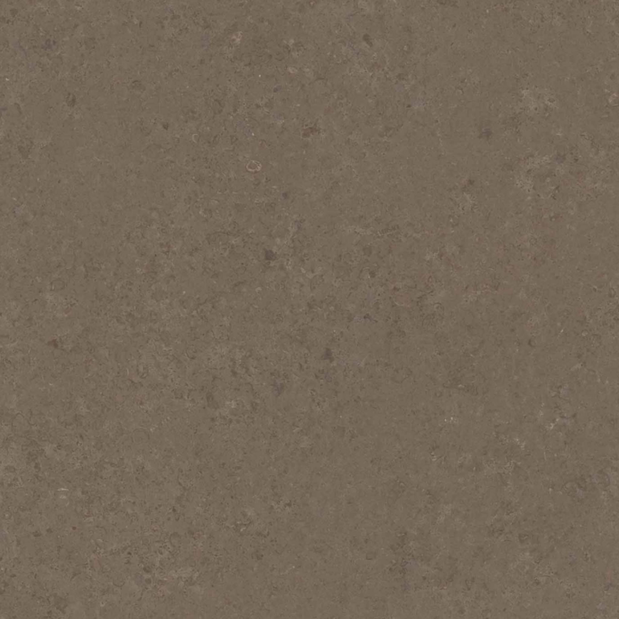 Céramique V Stone Brown de Versace Ceramics