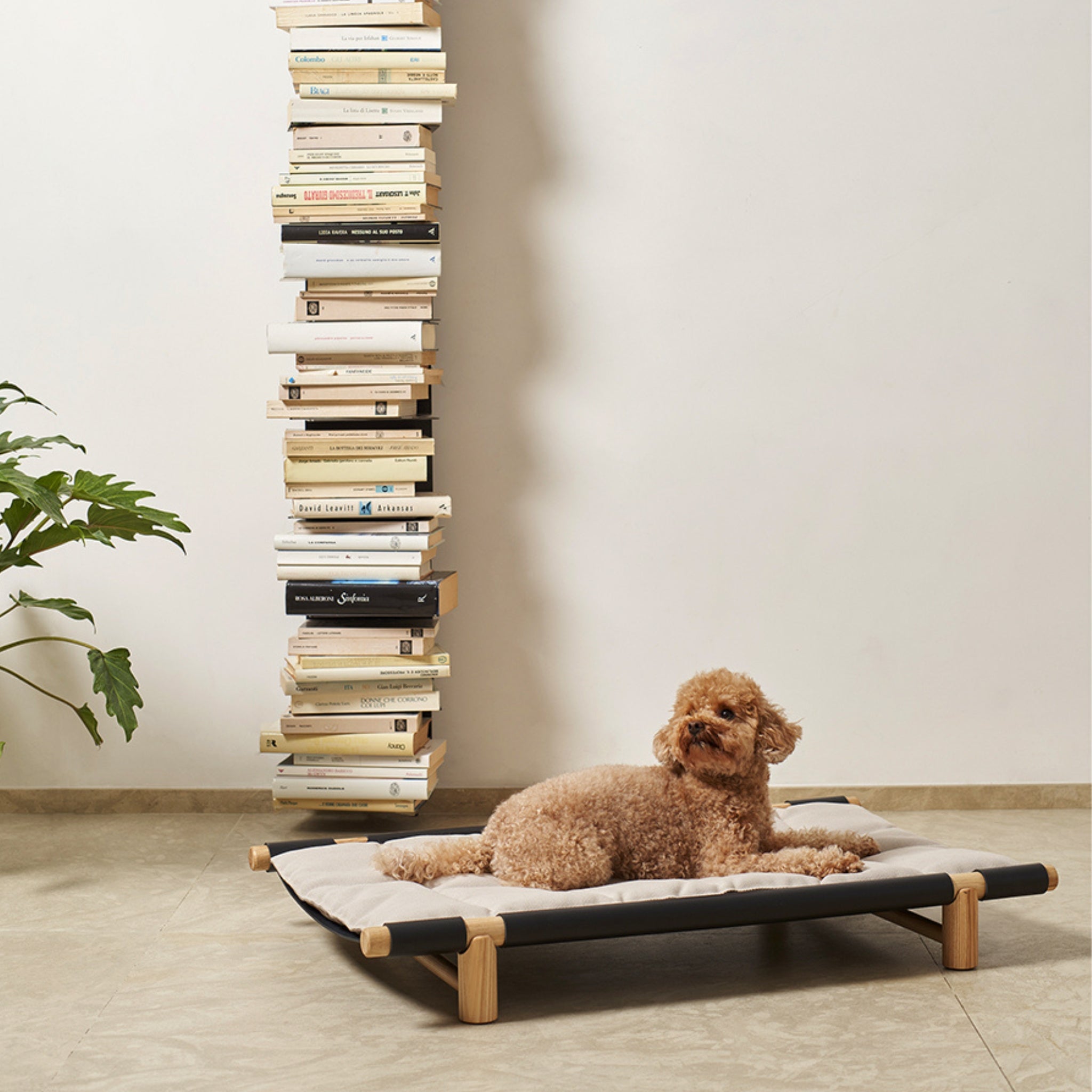 Lit pour chien Berberé par Opinion Ciatti