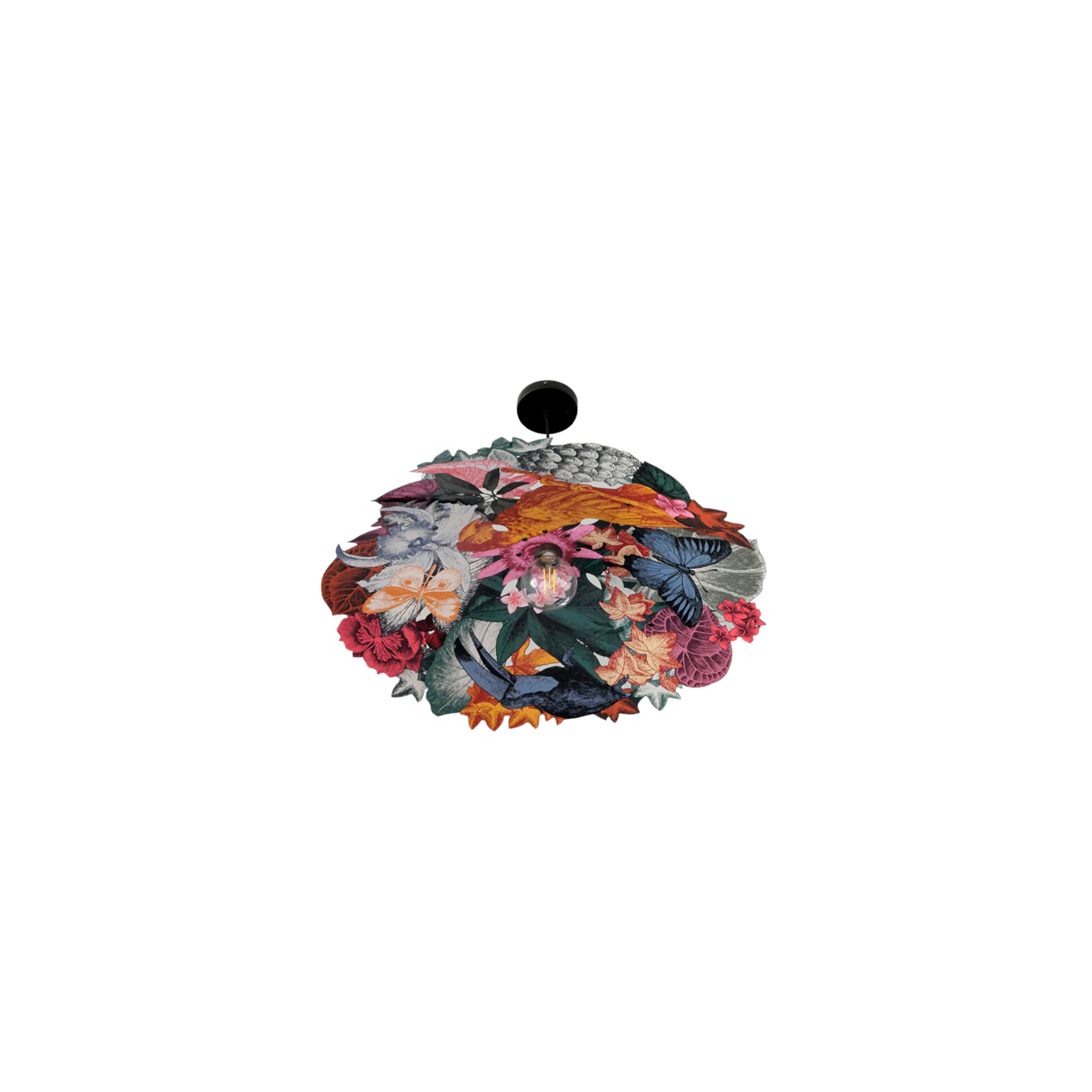 Suspension Boucan de Ibride | Maison Territo