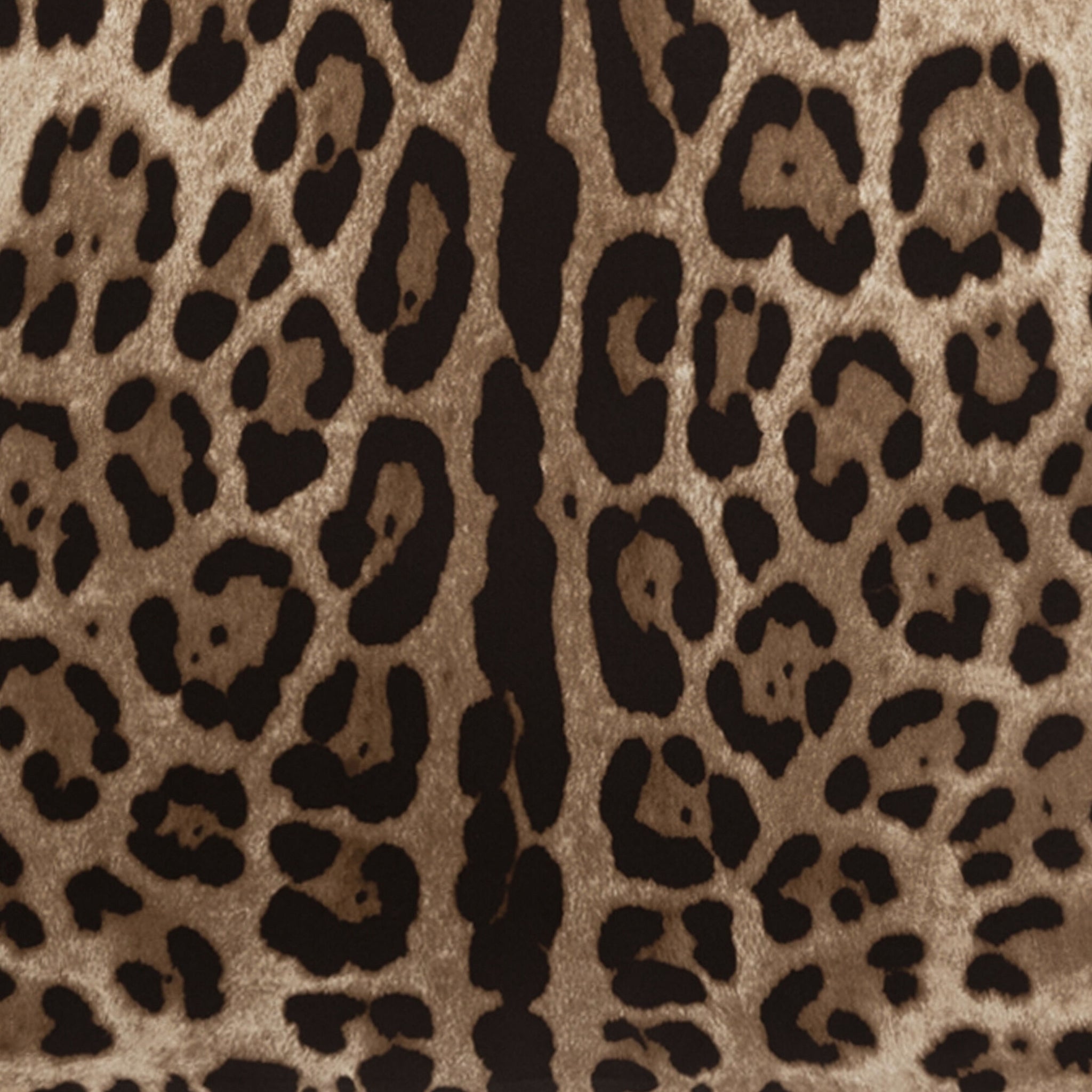 Coussin en soie Leopardo de Dolce & Gabbana Casa