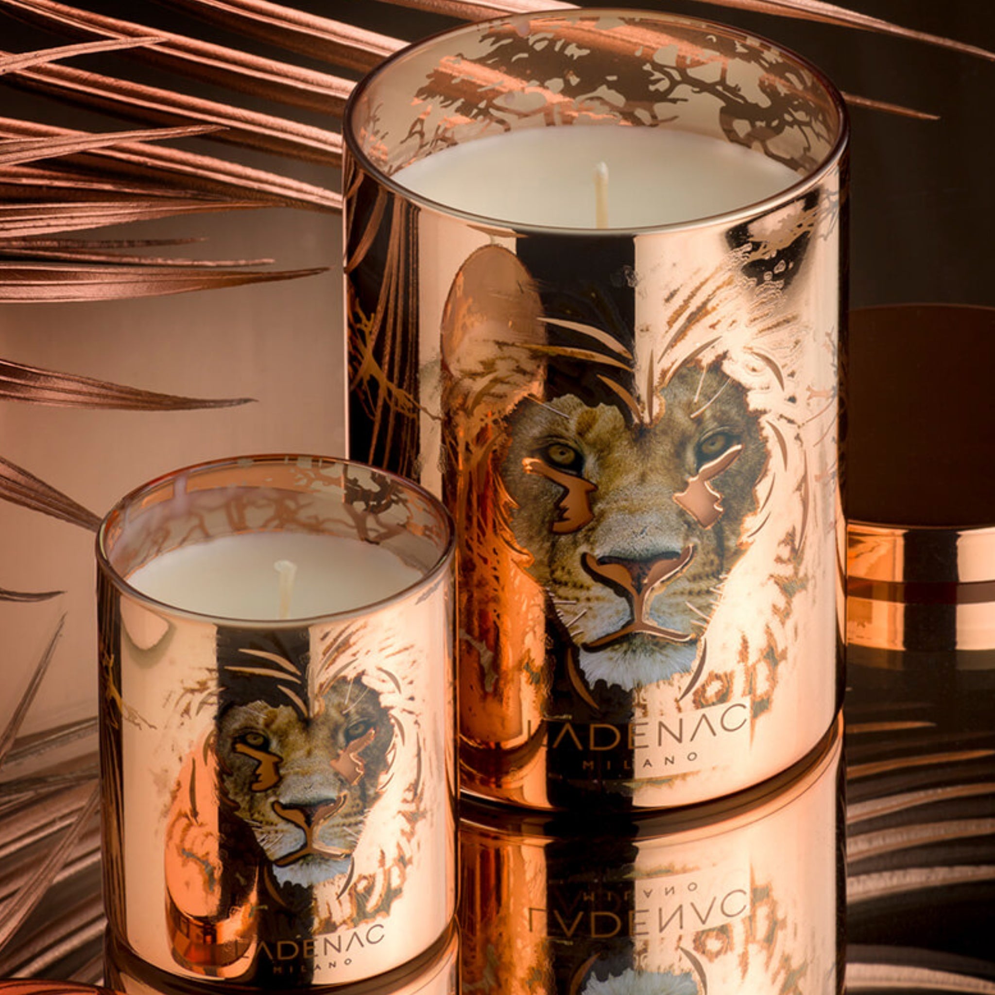 Bougie Dominator Africa de Ladenac