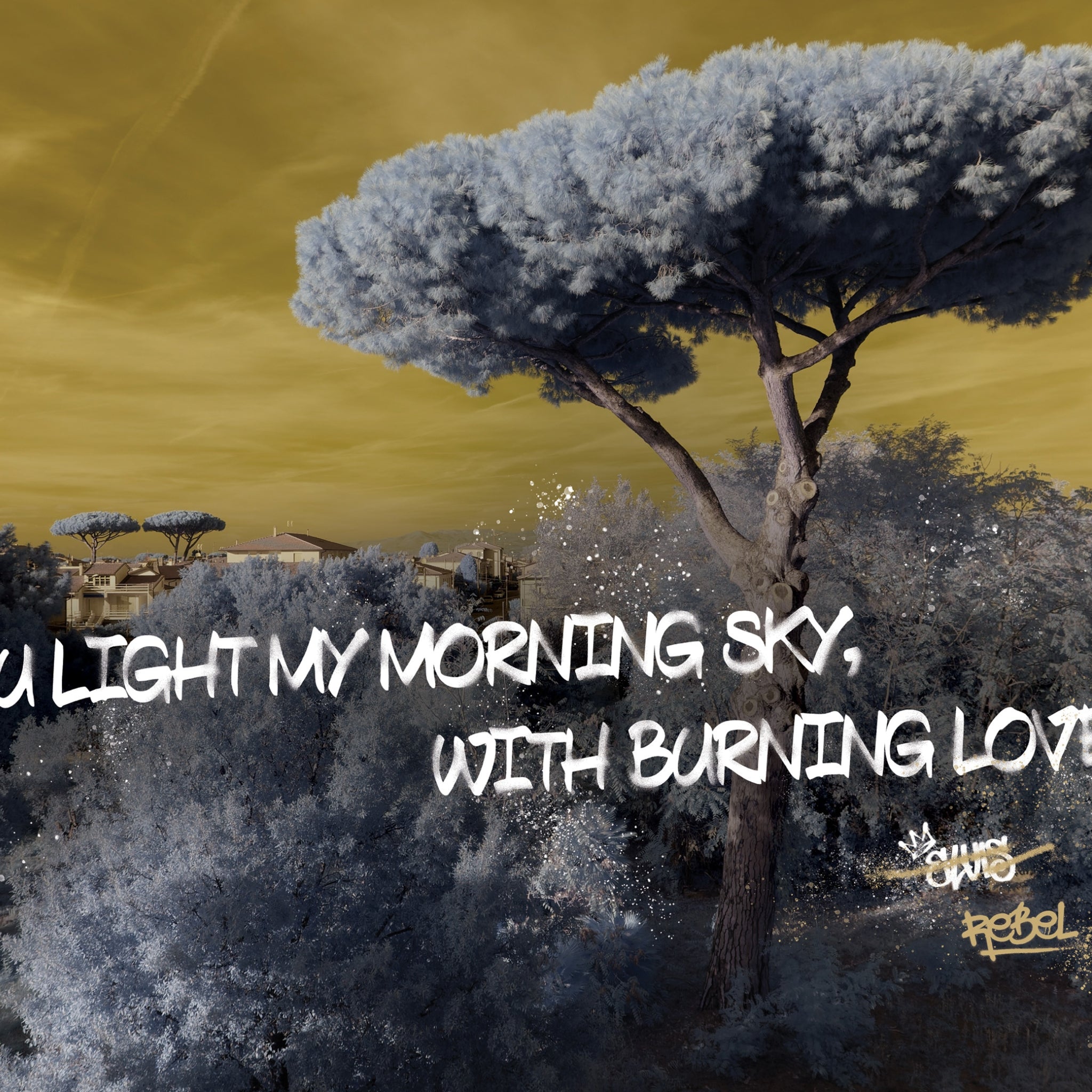 Papier peint Elvis de Nomad Design