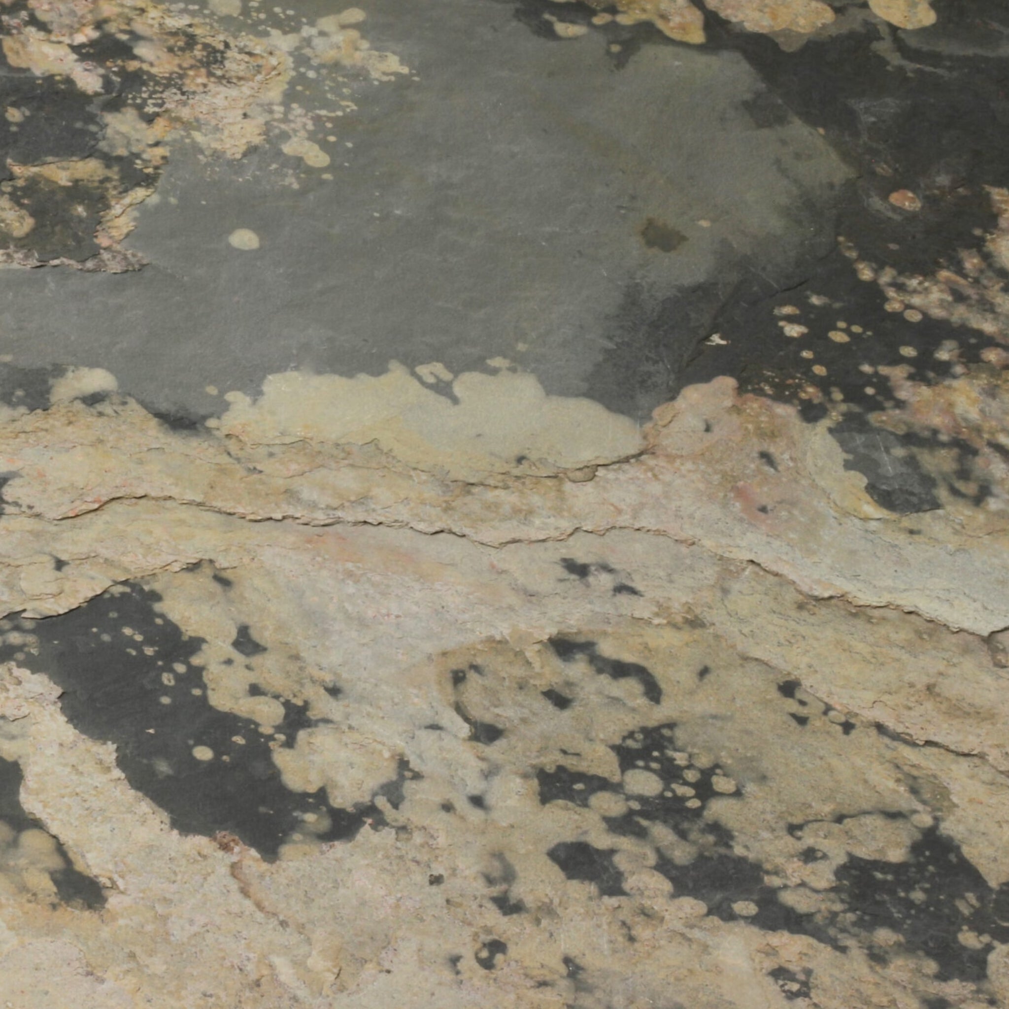 Feuille de pierre Naturelle Moscow de Stoneleaf