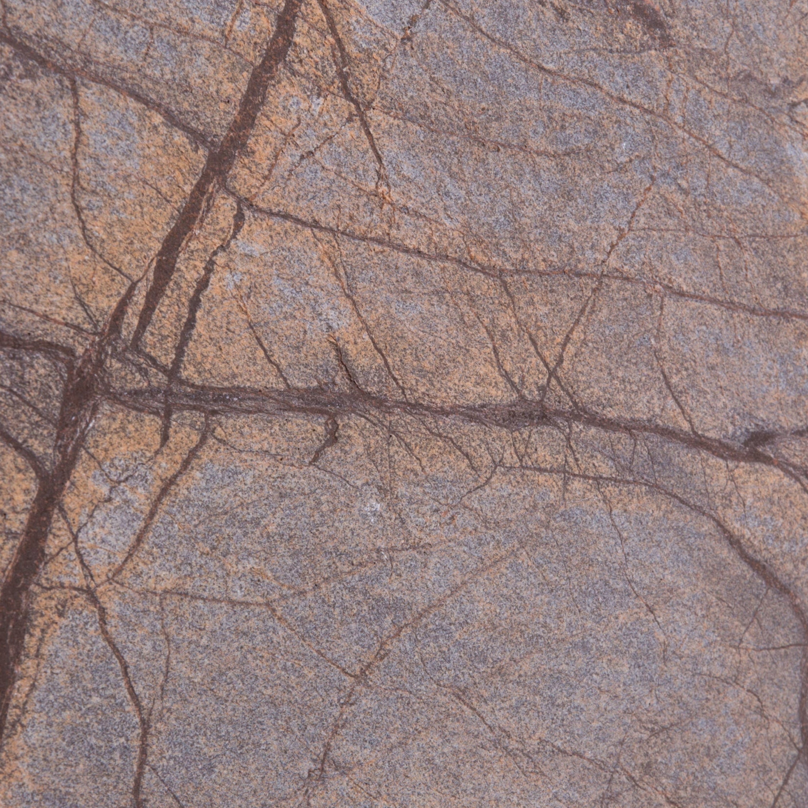 Feuille de pierre Naturelle Pretoria de Stoneleaf