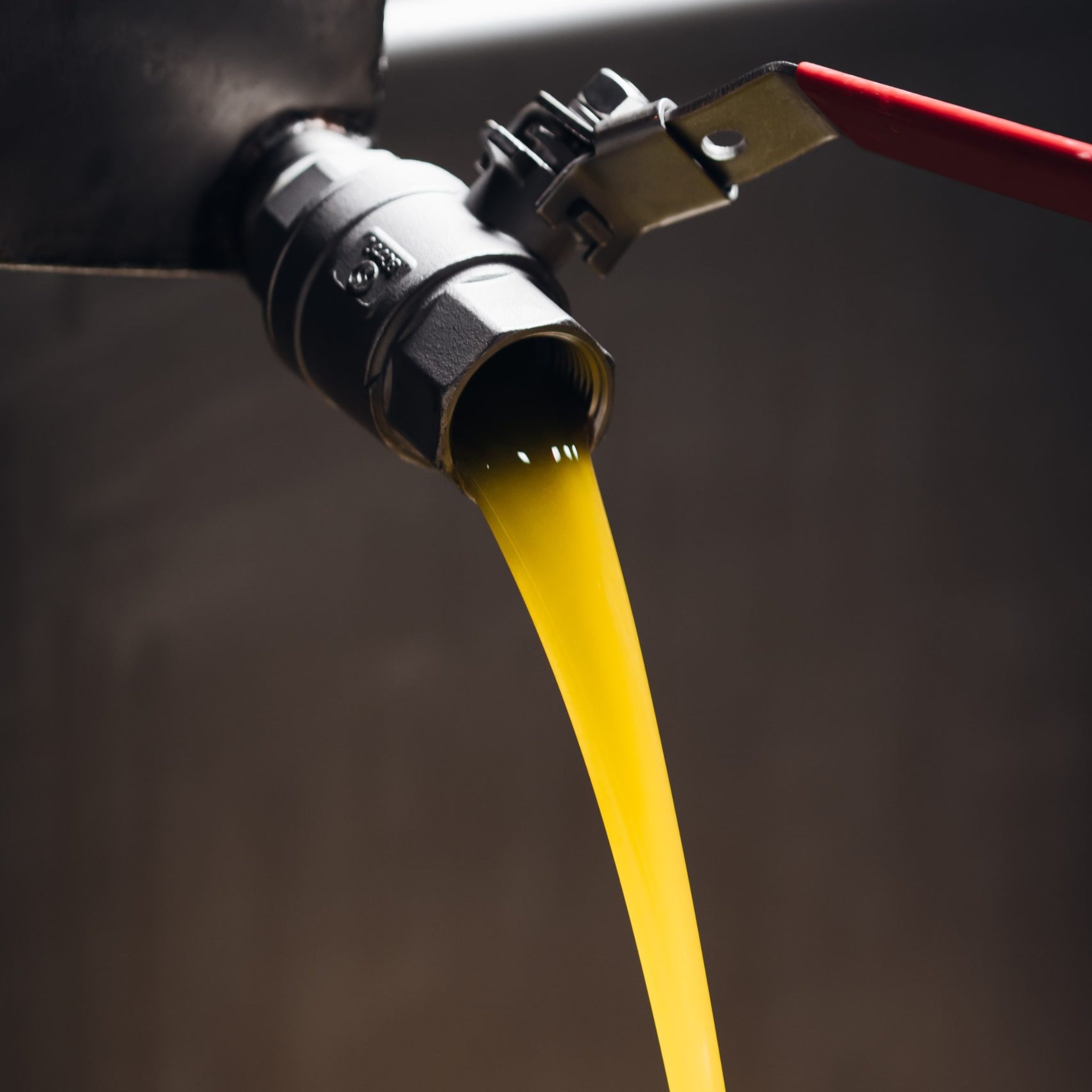 Huile d’olive vierge extra Koroneiki de Estoublon