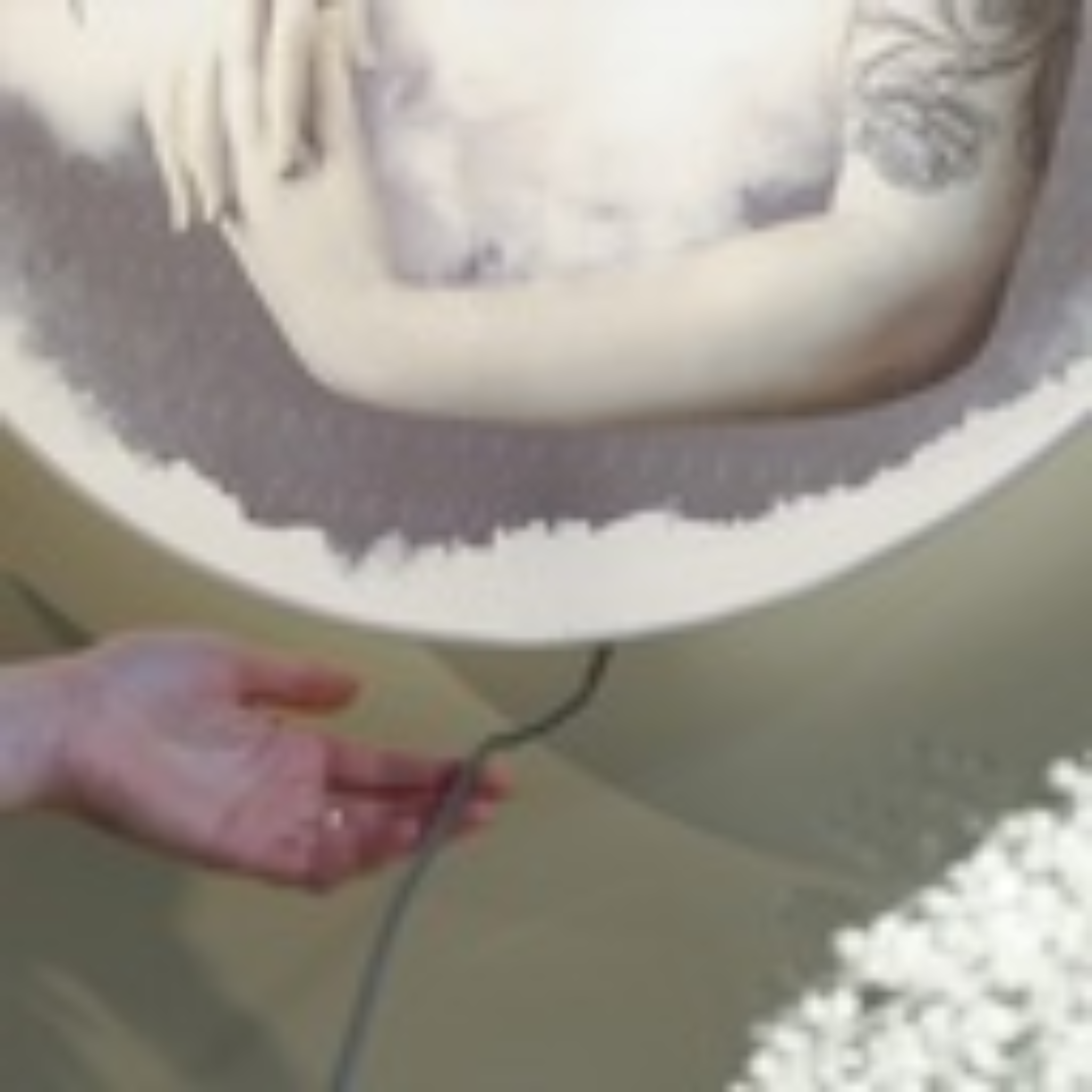 La Divina Light Tableau lumineux de Ibride | Maison Territo