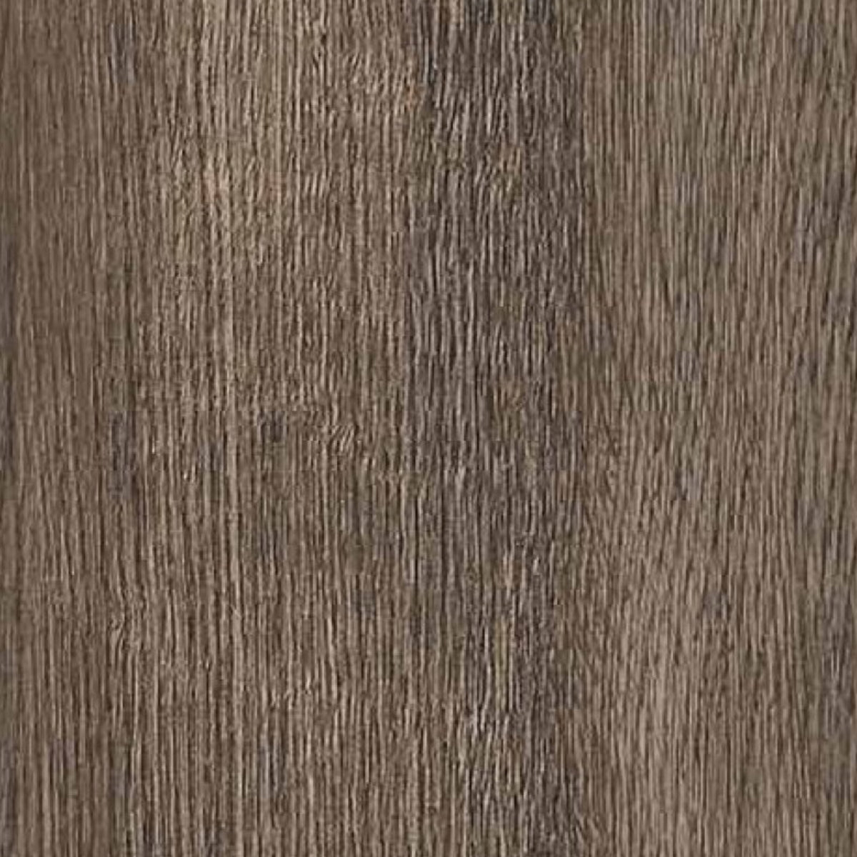 Leatherwood Ebony de Versace Ceramics