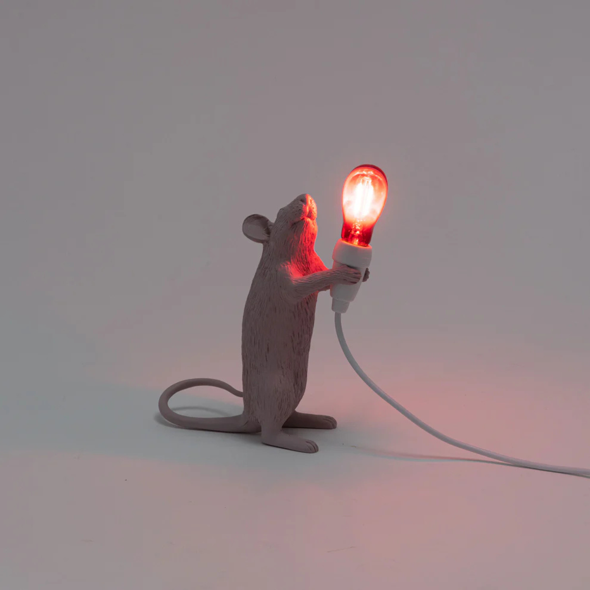 Mouse Step Love USB lamp