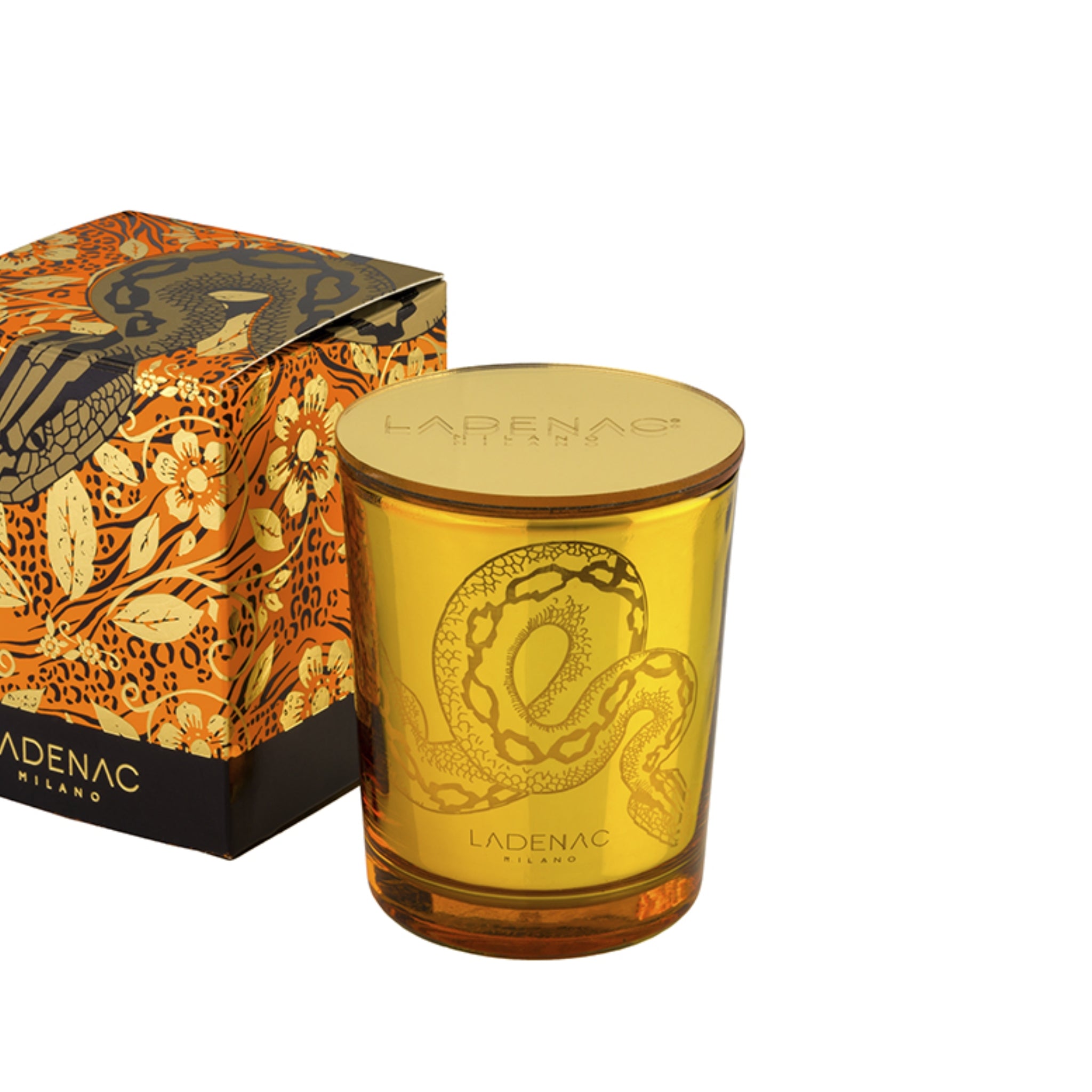 Bougie Snake Africa Temptation de Ladenac