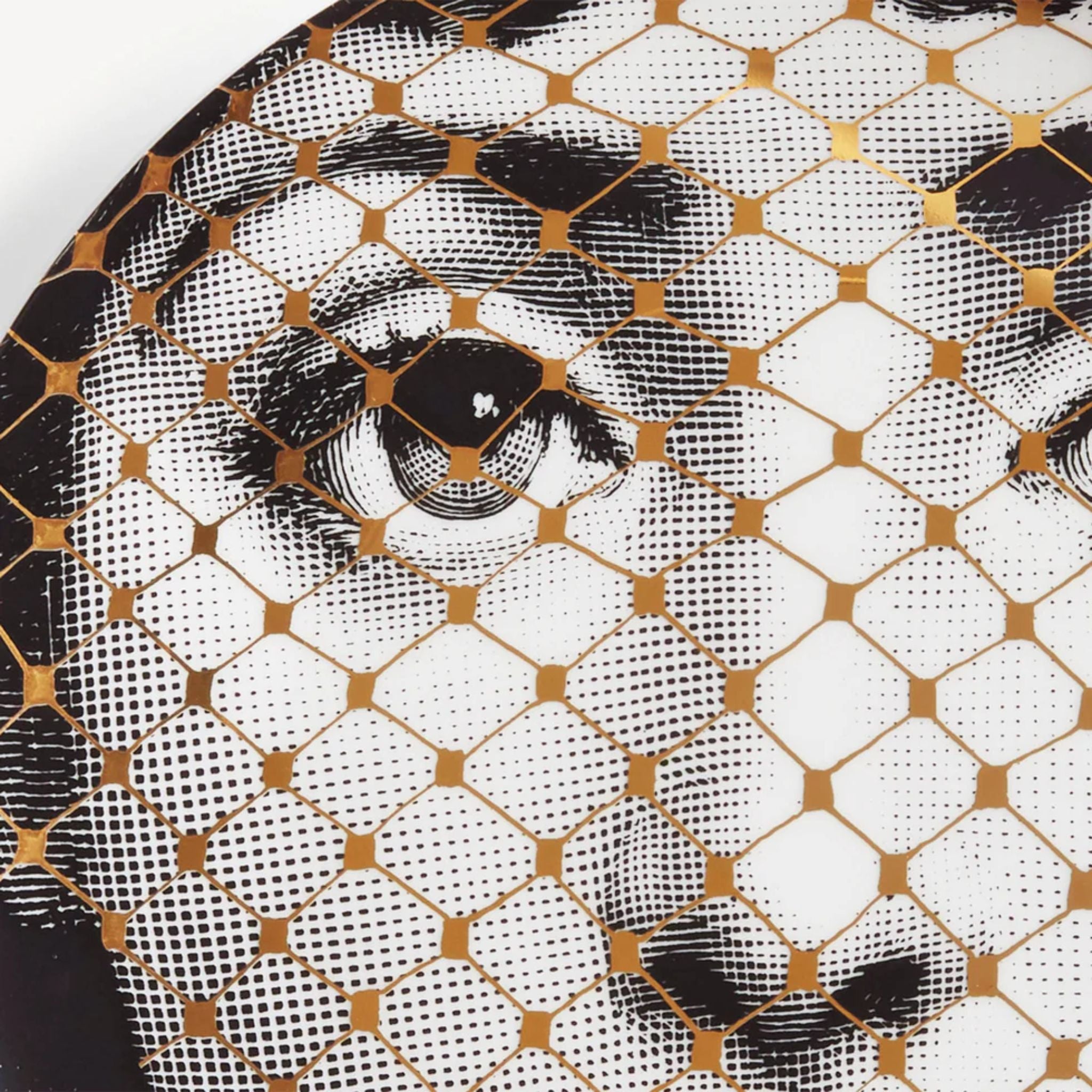 Assiette murale Fornasetti Tema e Variazioni n.78 de Fornasetti | Maison Territo
